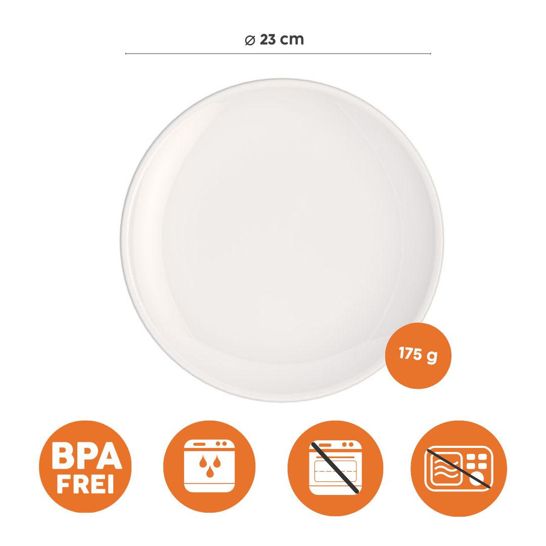 Dinner plate  Dinner plate