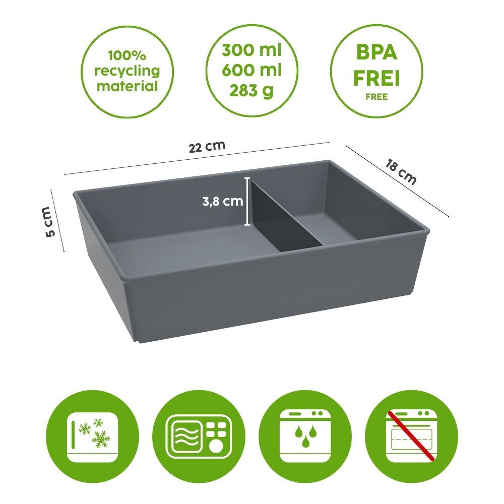Boxy Bernd with divider