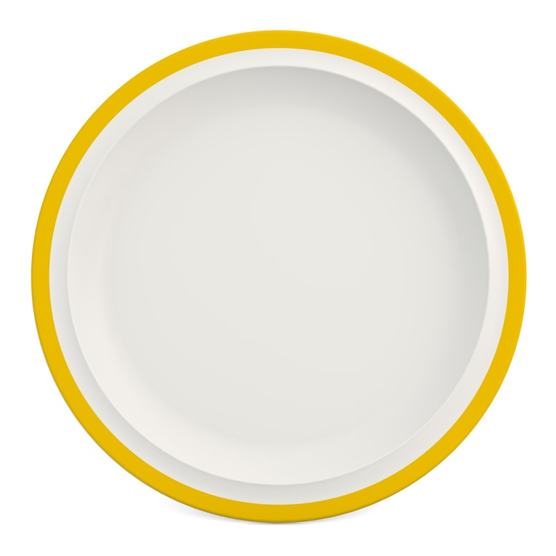 DINNER PLATE