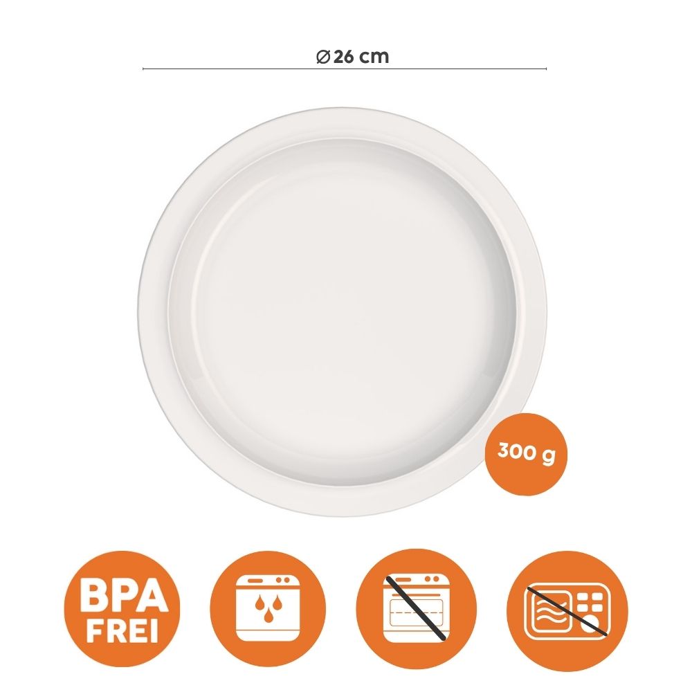 Set of 4 Dinner plates Classic