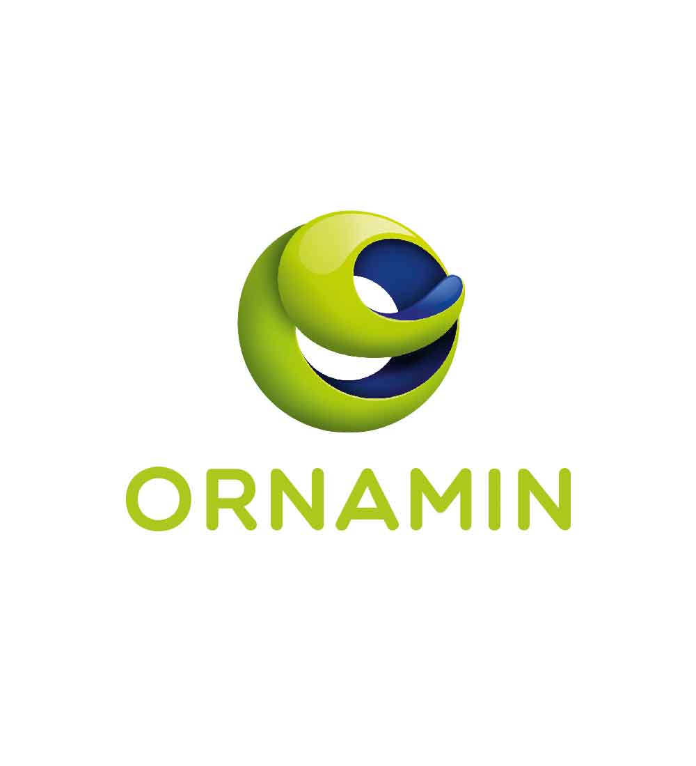 ORNAMIN Logo weißer Hintergrund