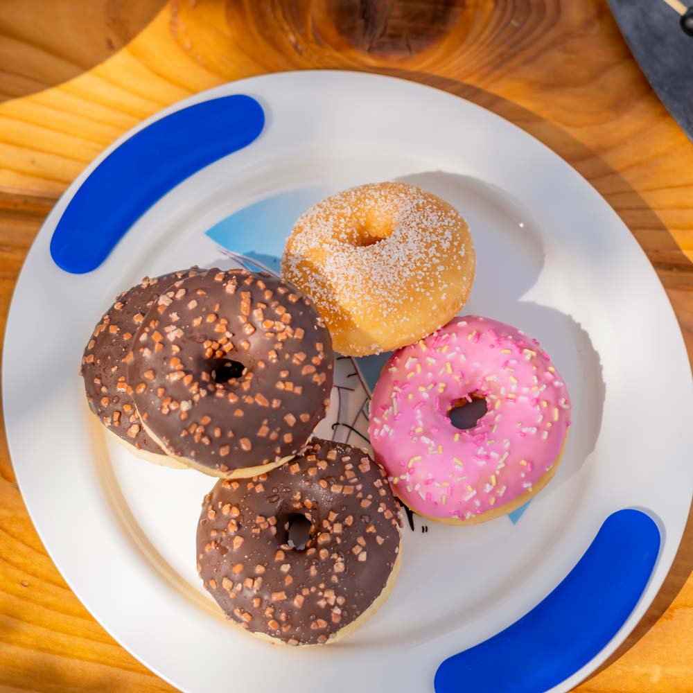 Dinner plate for children