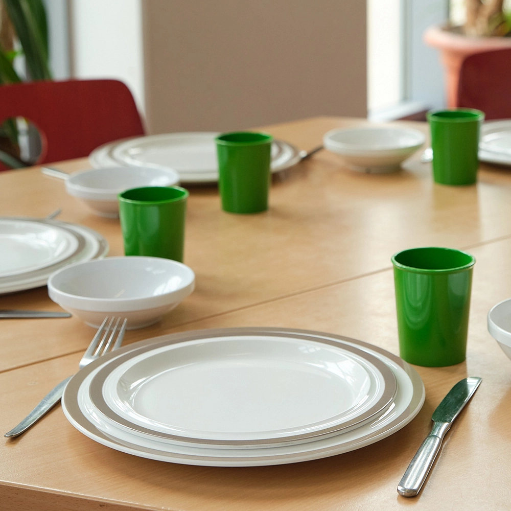 Set of 4 Dinner plates Classic